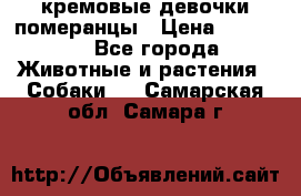 кремовые девочки померанцы › Цена ­ 30 000 - Все города Животные и растения » Собаки   . Самарская обл.,Самара г.